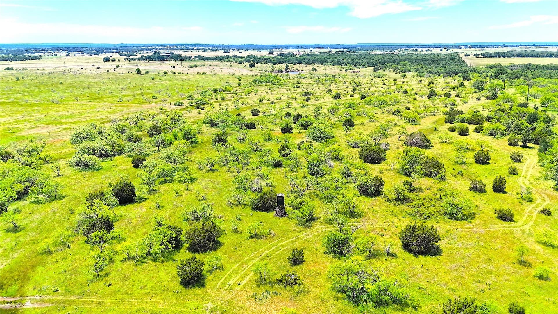 50 acres in Parker County - photo 5