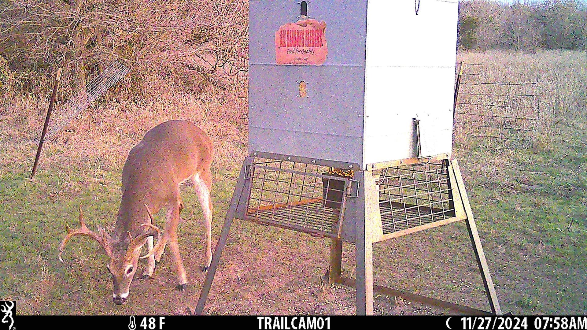 50 acres in Parker County - photo 11