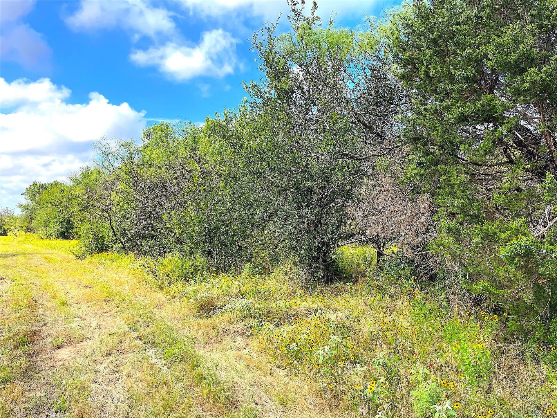 50 acres in Parker County - photo 15
