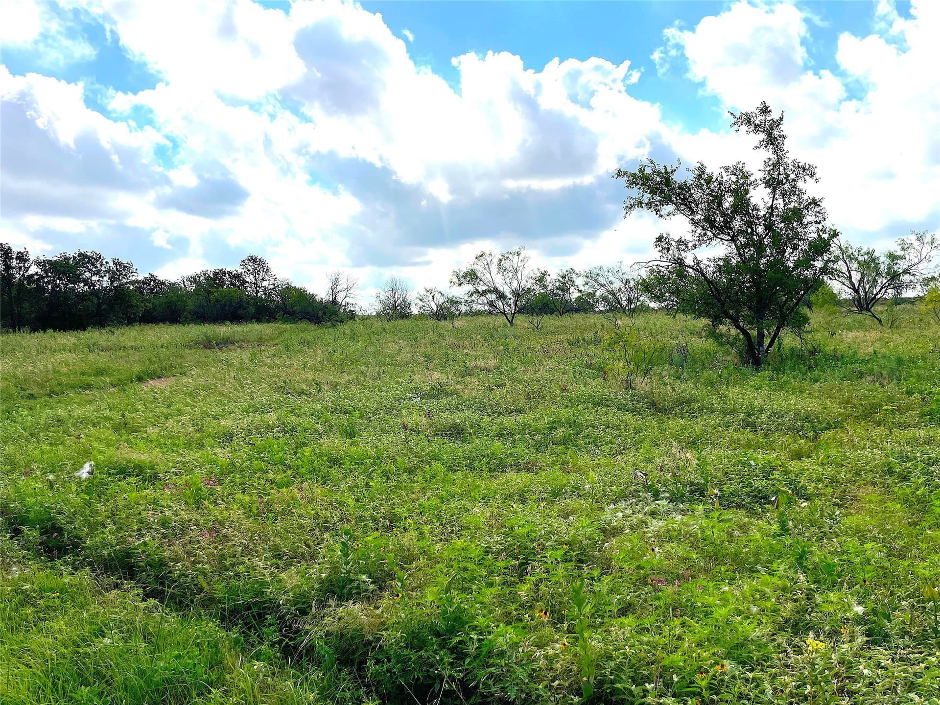 50 acres in Parker County - photo 19