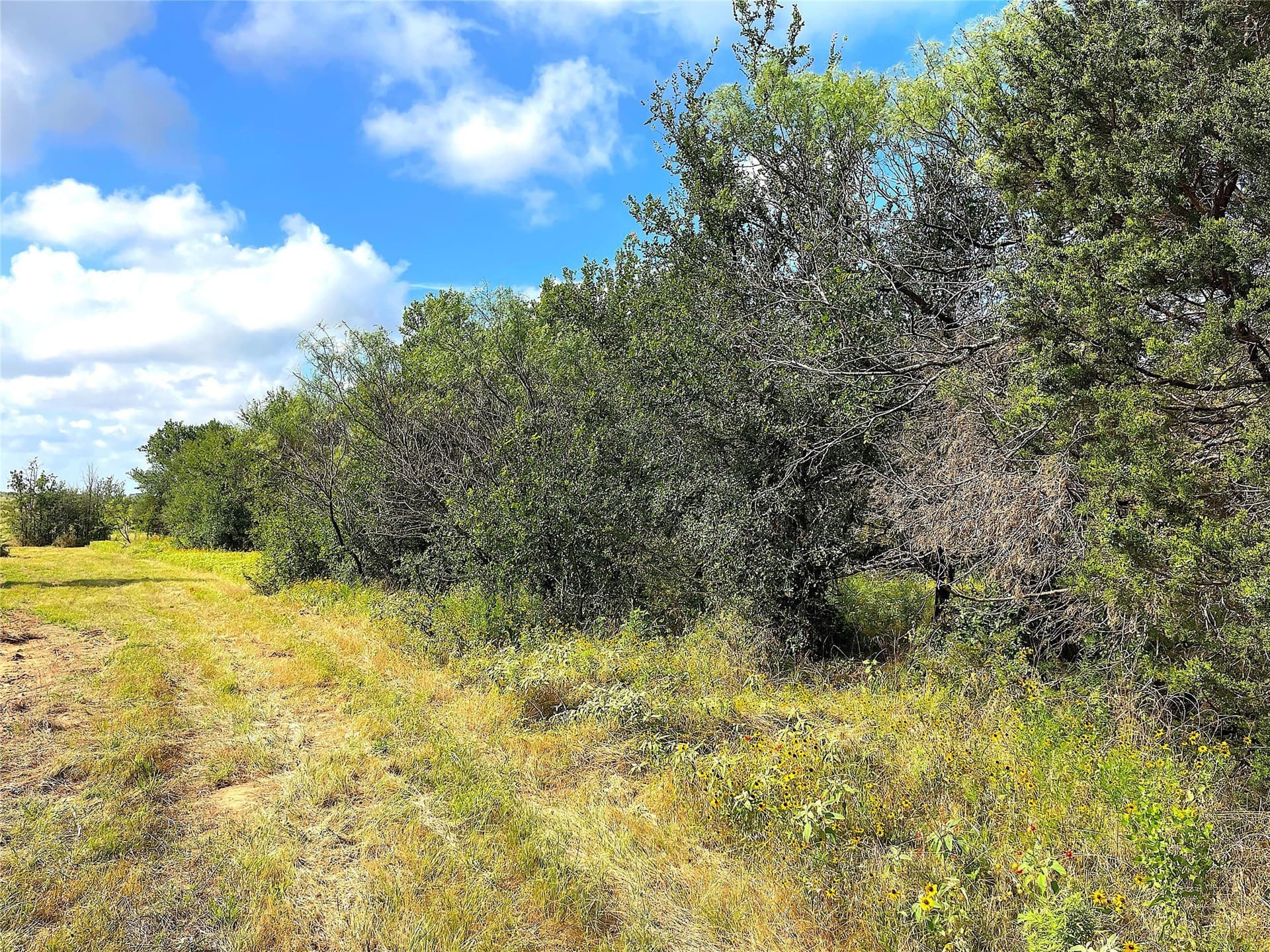 50 acres in Parker County - photo 8