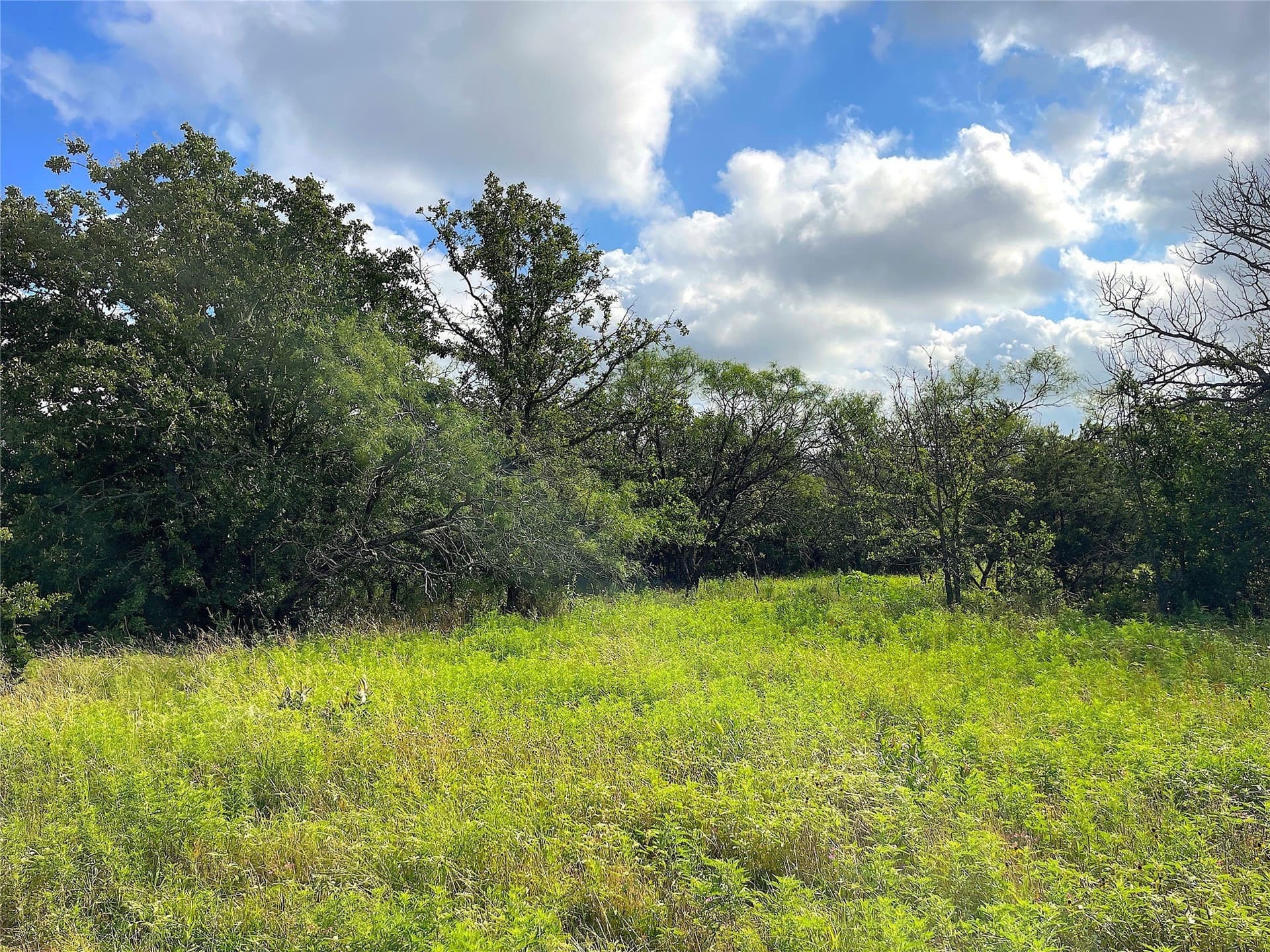 50 acres in Parker County - photo 12