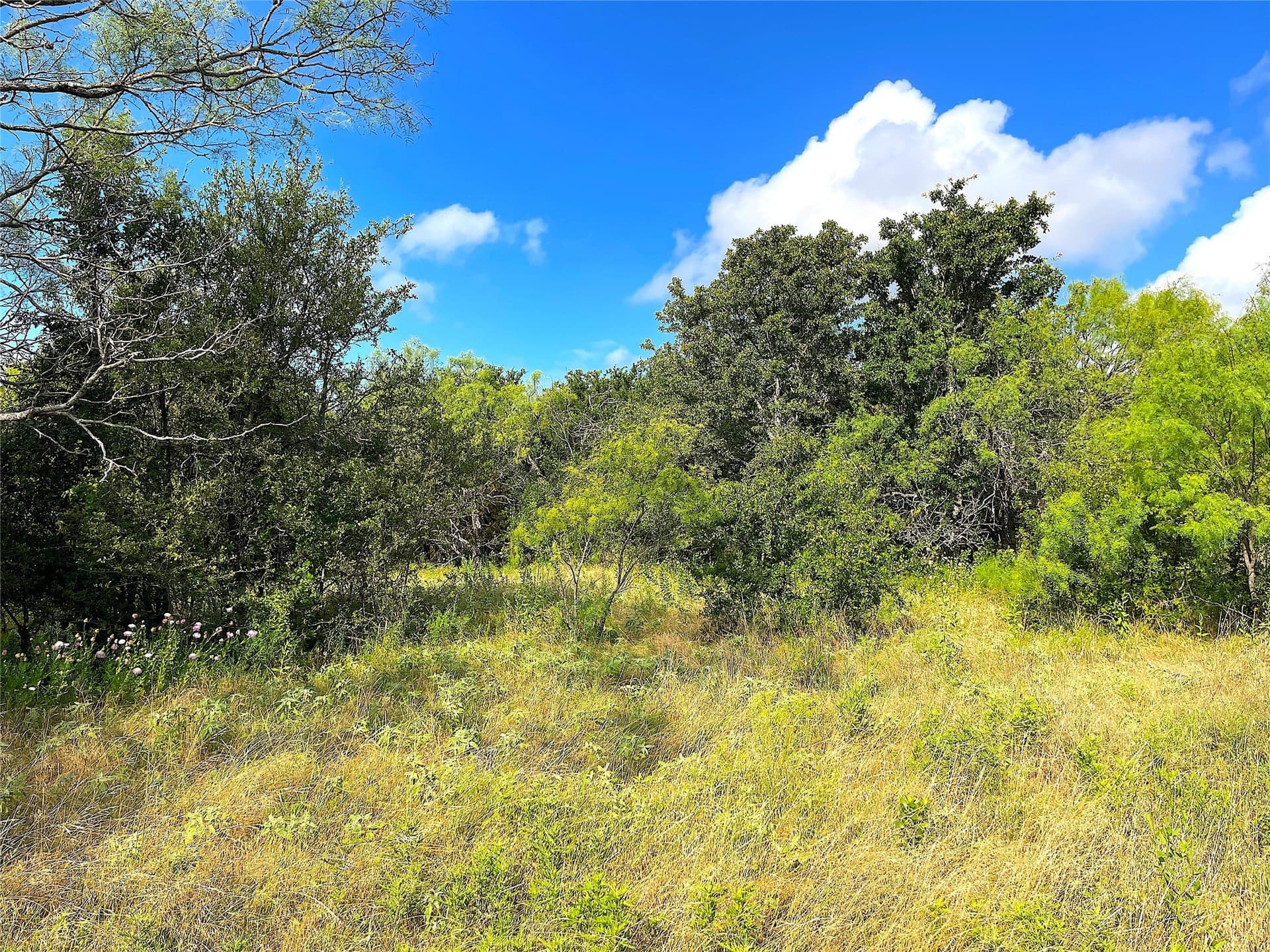 50 acres in Parker County - photo 18