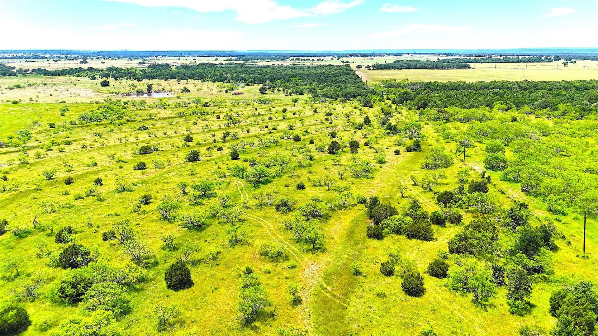 50 acres in Parker County - photo 7