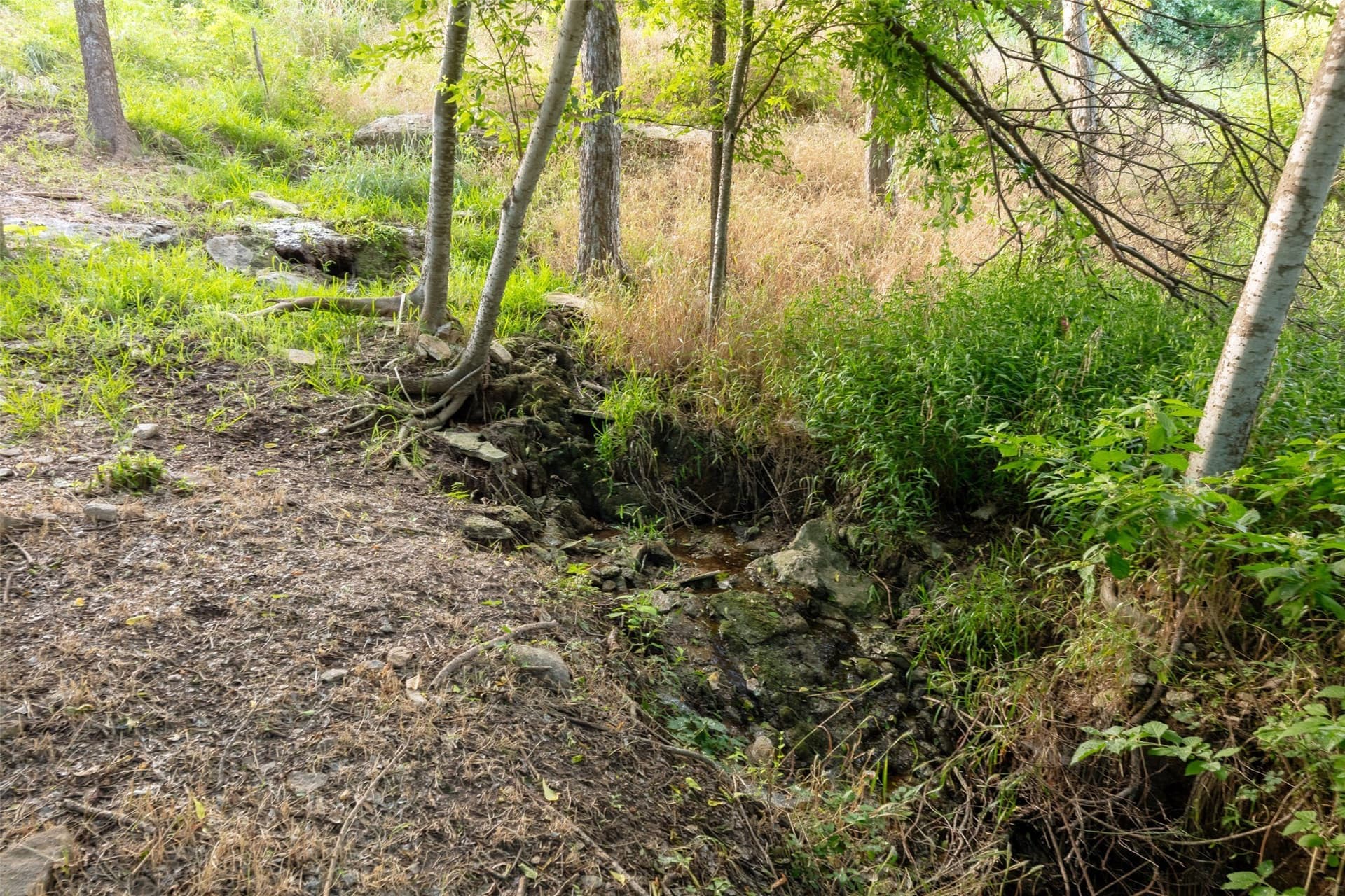 0.9 acres in Hood County - photo 32