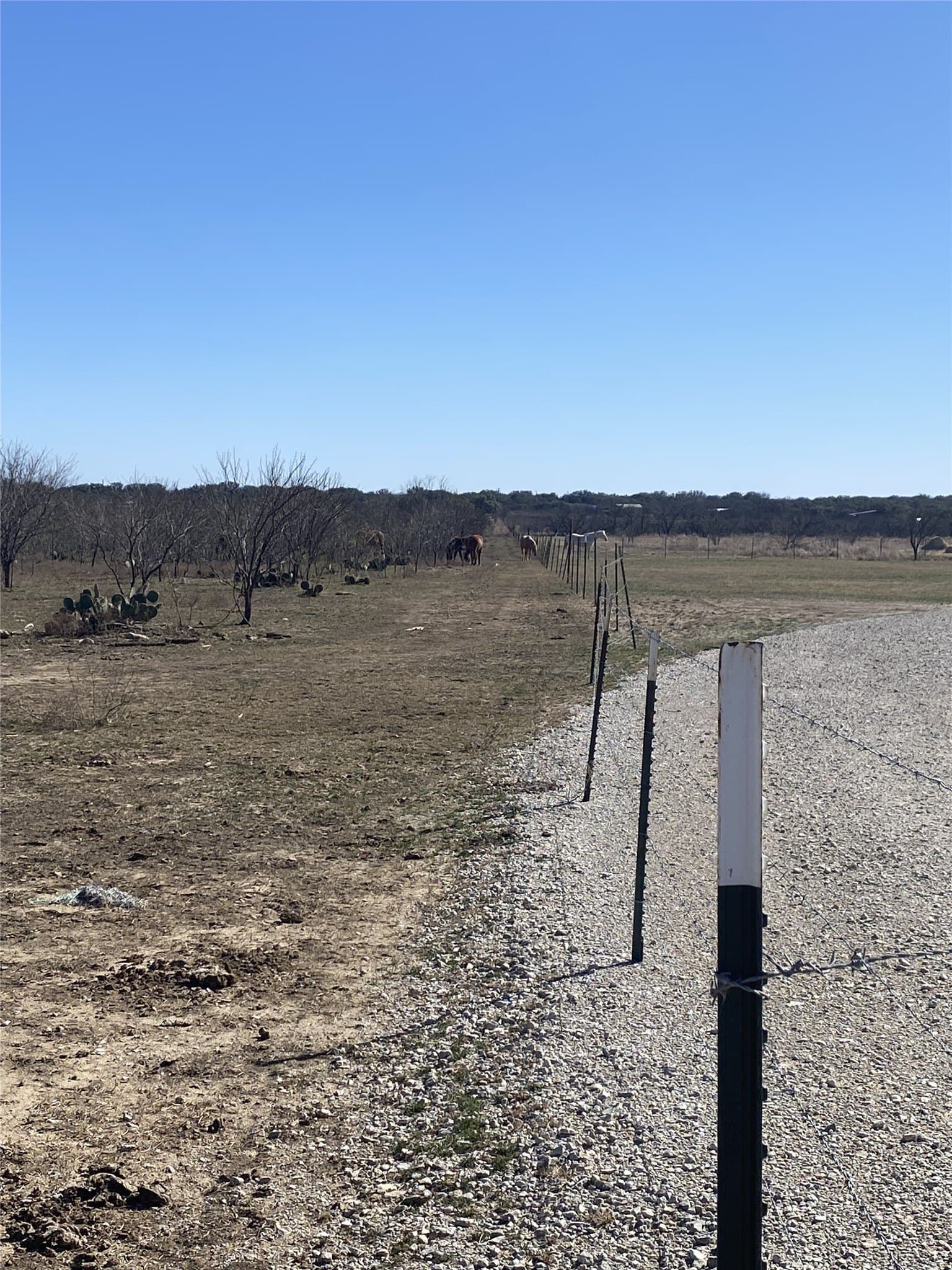 3 acres in Brown County - photo 4