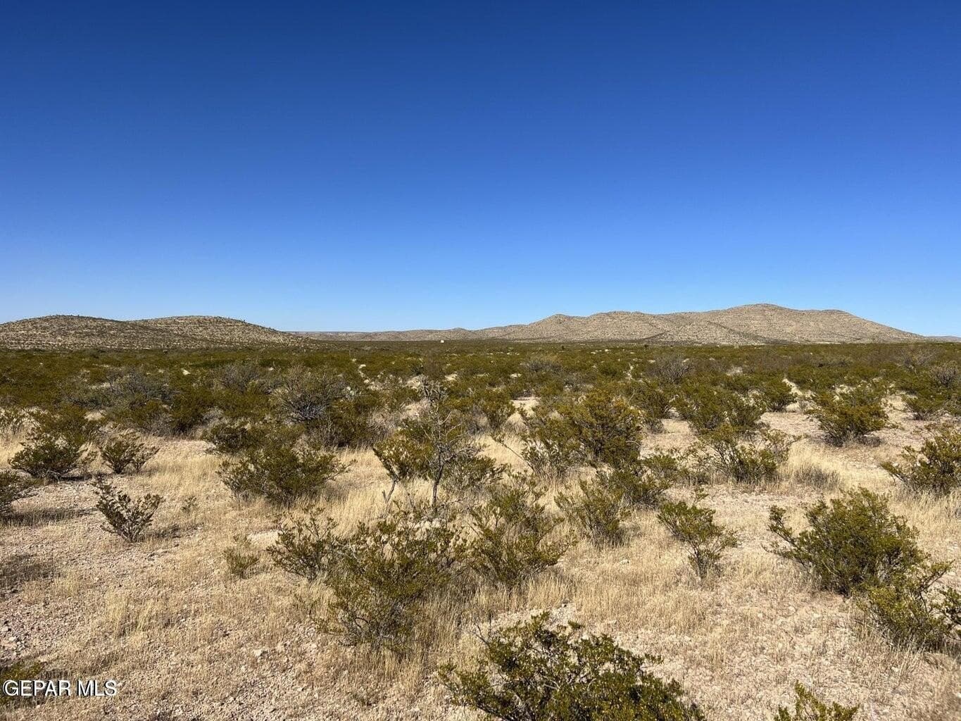 20 acres in Hudspeth County gallery image 4
