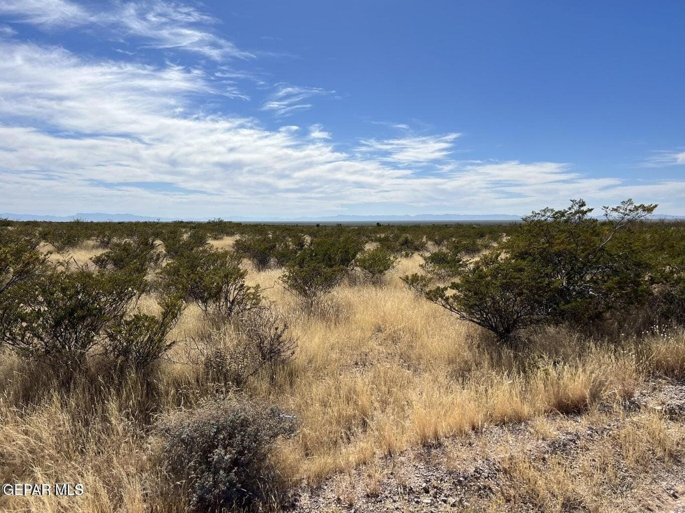 20 acres in Hudspeth County gallery image 3