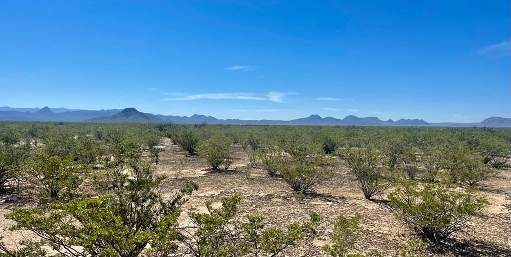 16 acres in Brewster County featured view