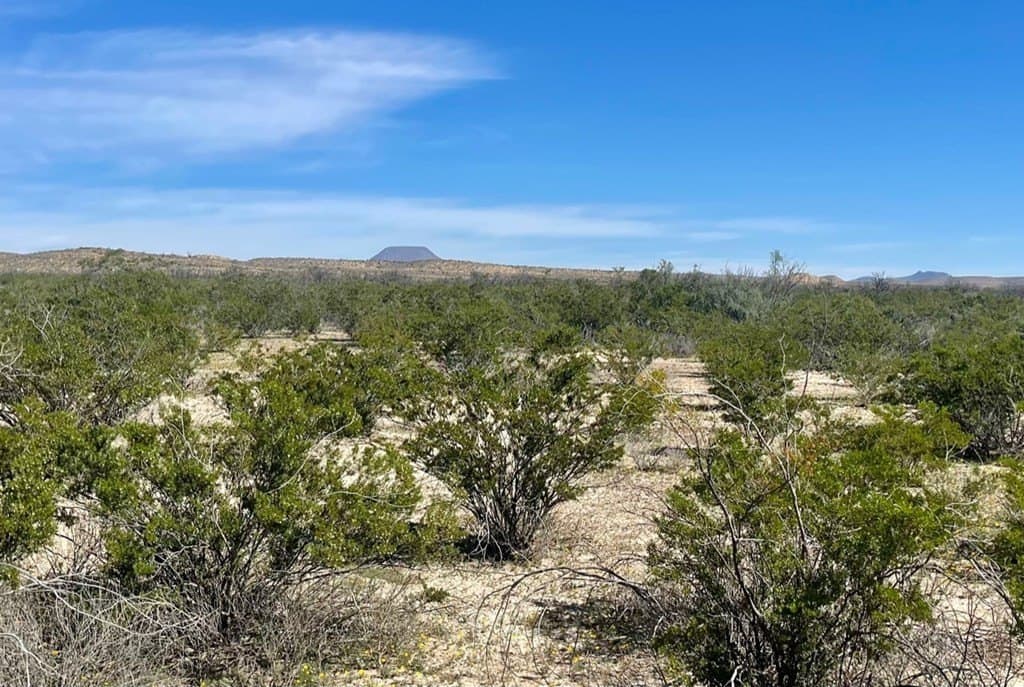 16 acres in Brewster County gallery image 3