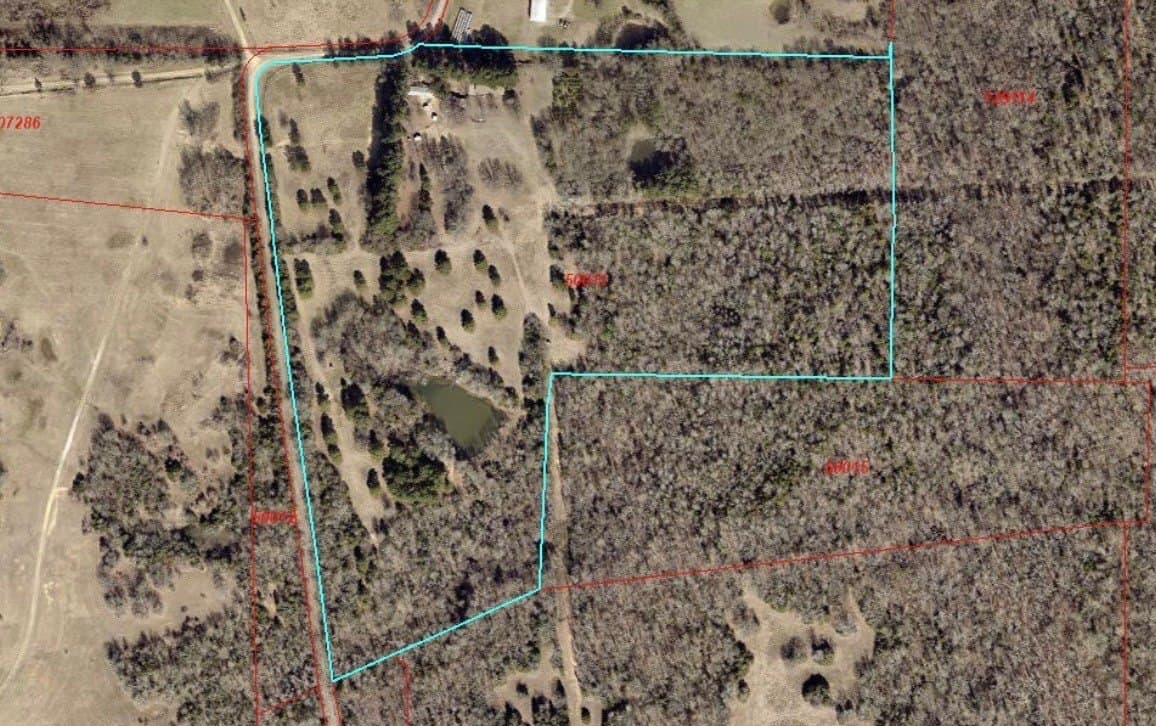 43 acres in Lamar County gallery image 2