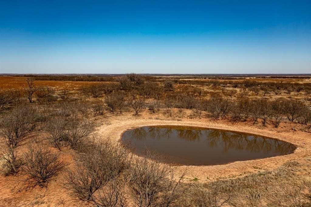 167 acres in Baylor County gallery image 3
