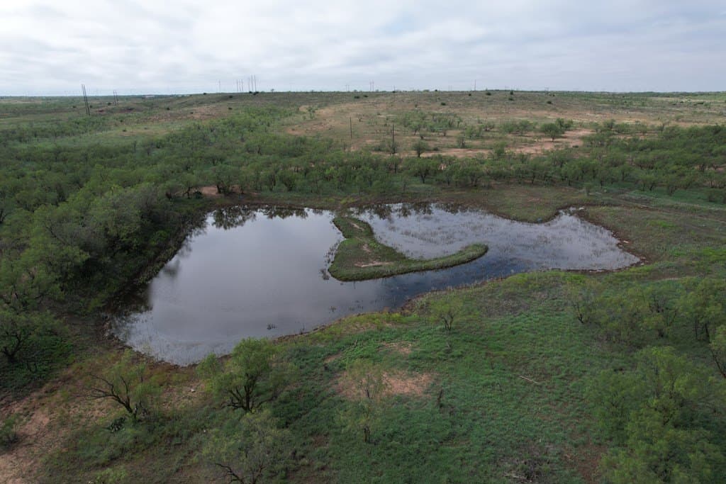 70 acres in Scurry County gallery image 3