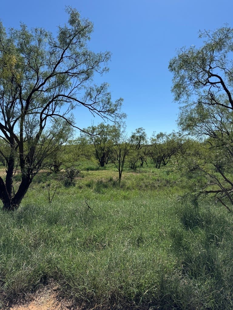 70 acres in Scurry County gallery image 2