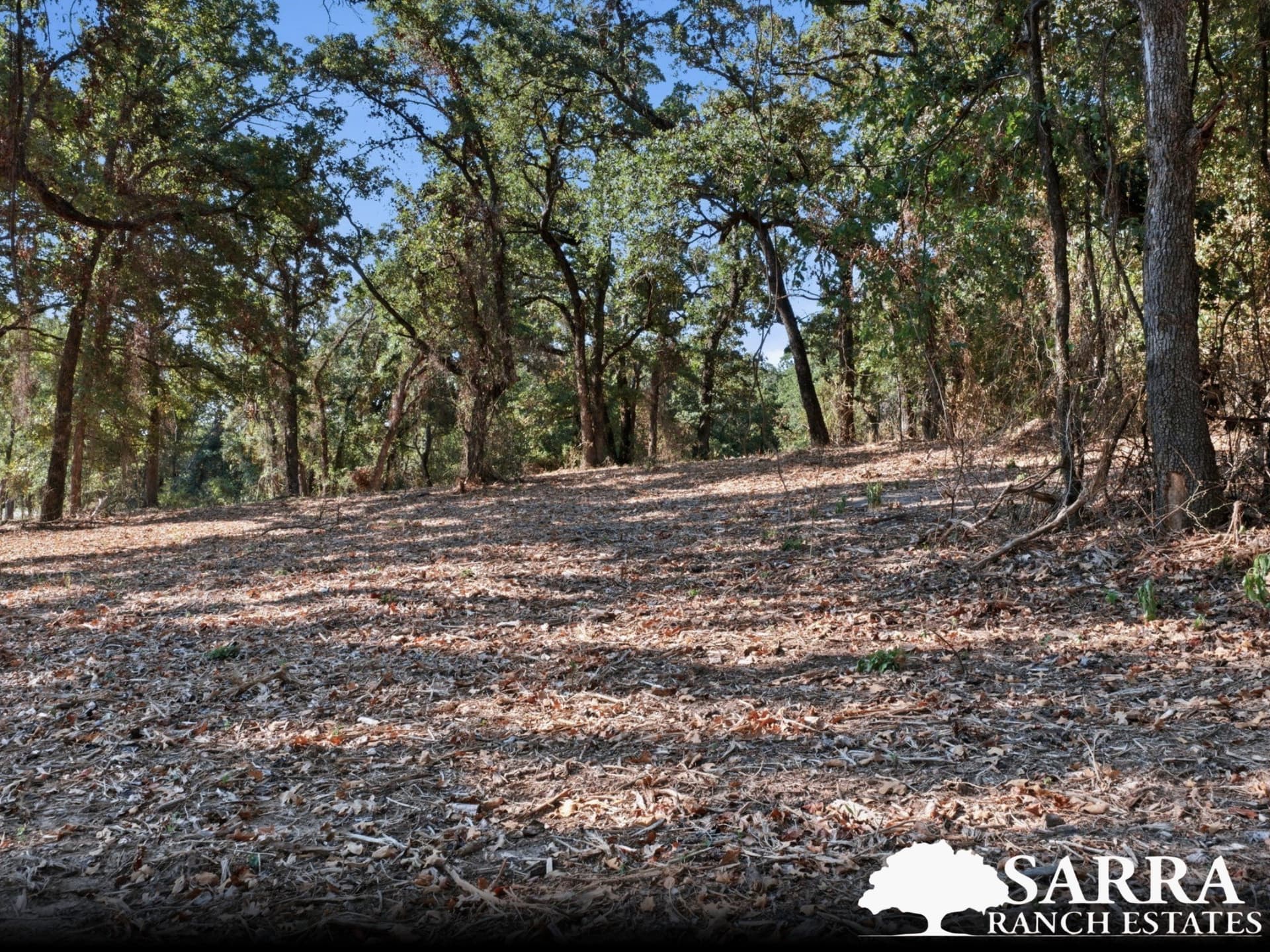 2 acres in Parker County - photo 4