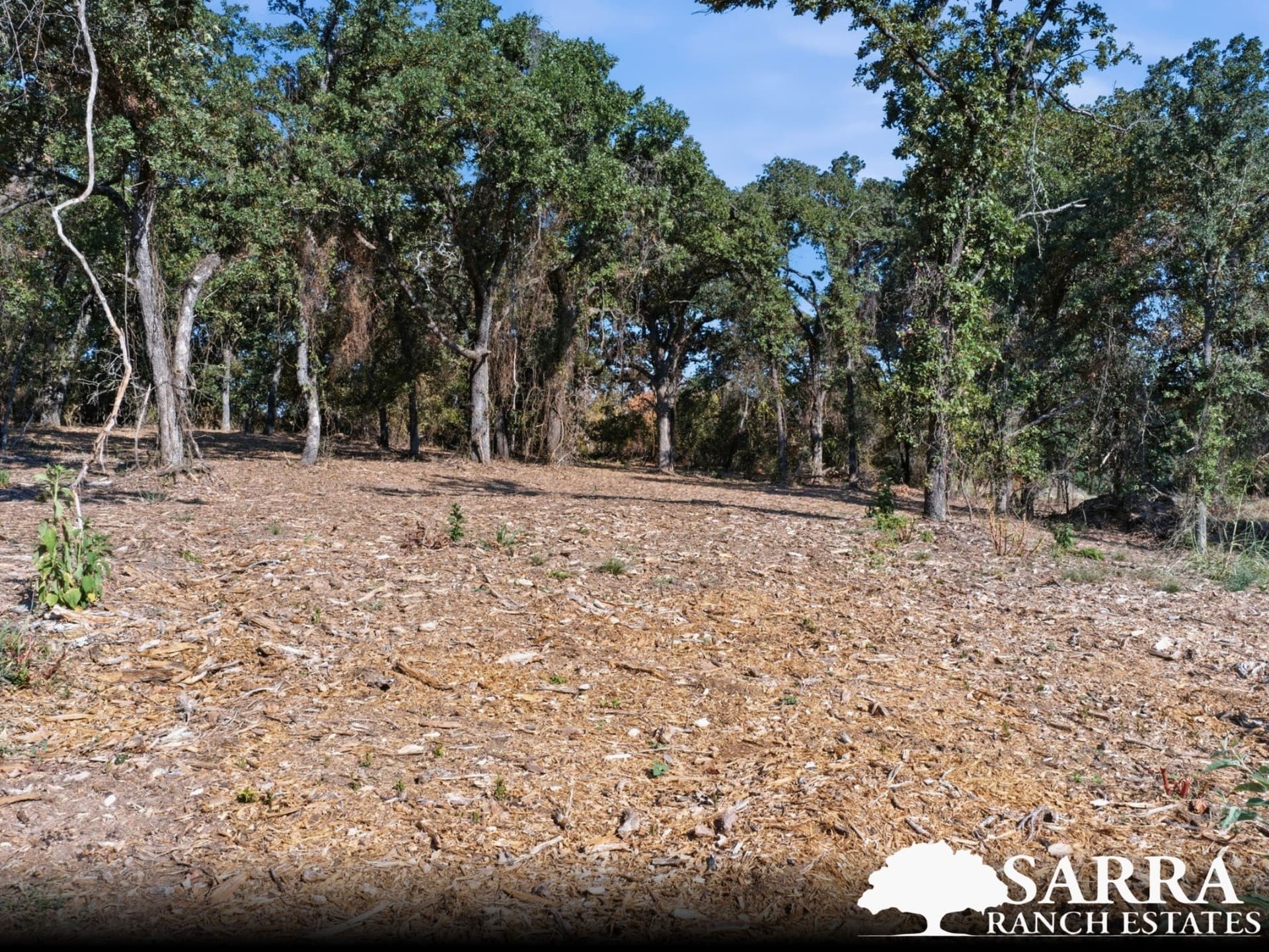 2 acres in Parker County - photo 5