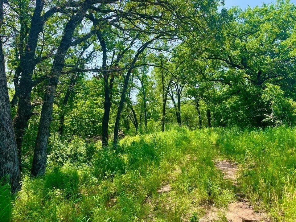 2 acres in Parker County - photo 2