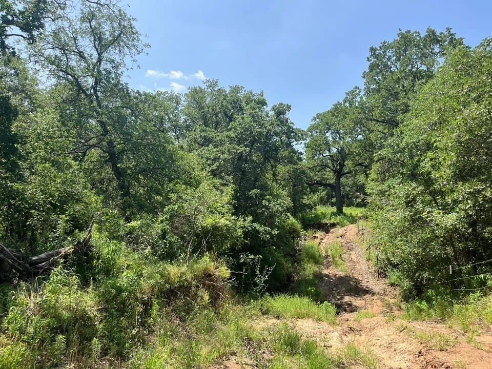 2 acres in Parker County - photo 3
