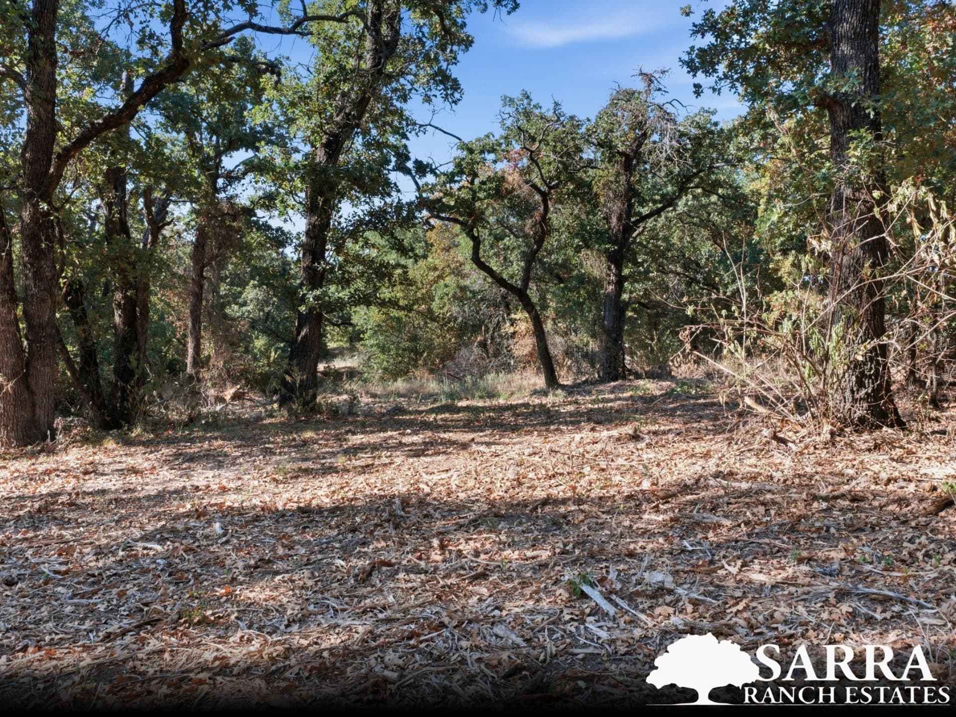 2 acres in Parker County - photo 3
