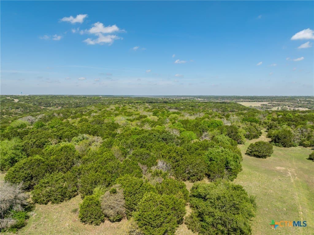 79.48 acres in Coryell County - photo 24