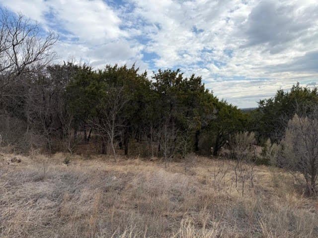 5.01 acres in Palo Pinto County - photo 2