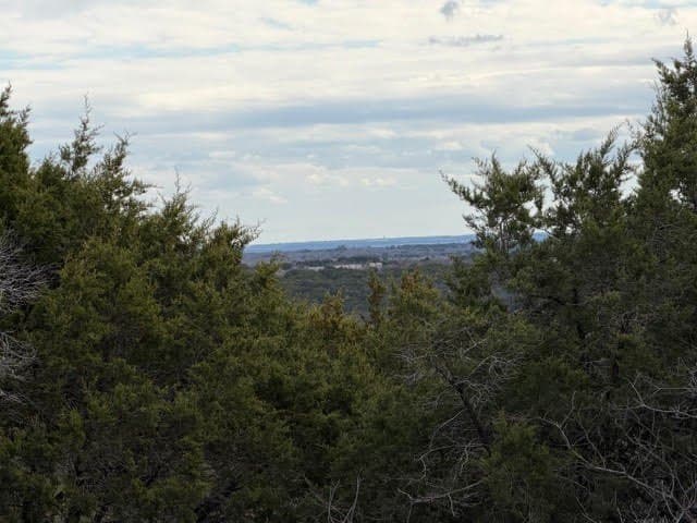 5.01 acres in Palo Pinto County - photo 4