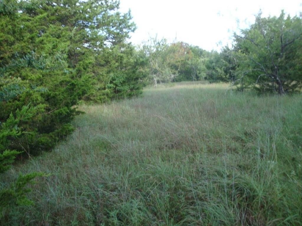 231.39 acres in Navarro County gallery image 4