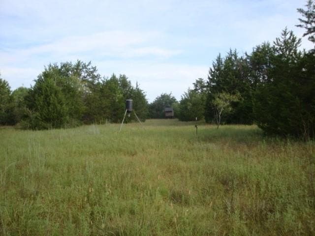 231.39 acres in Navarro County