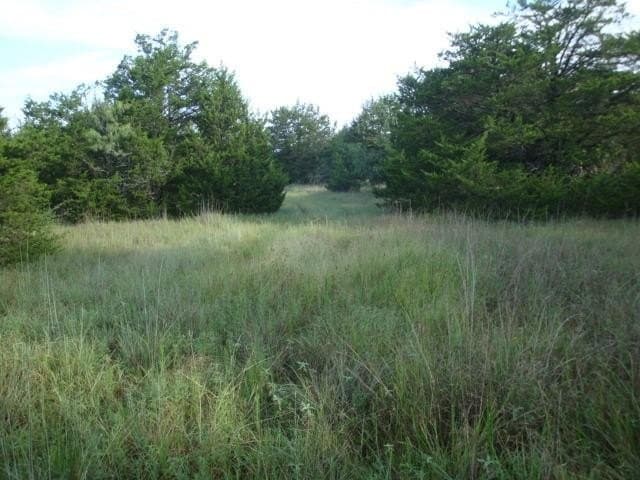 231.39 acres in Navarro County featured view
