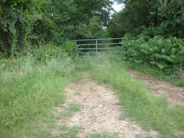 231.39 acres in Navarro County gallery image 2