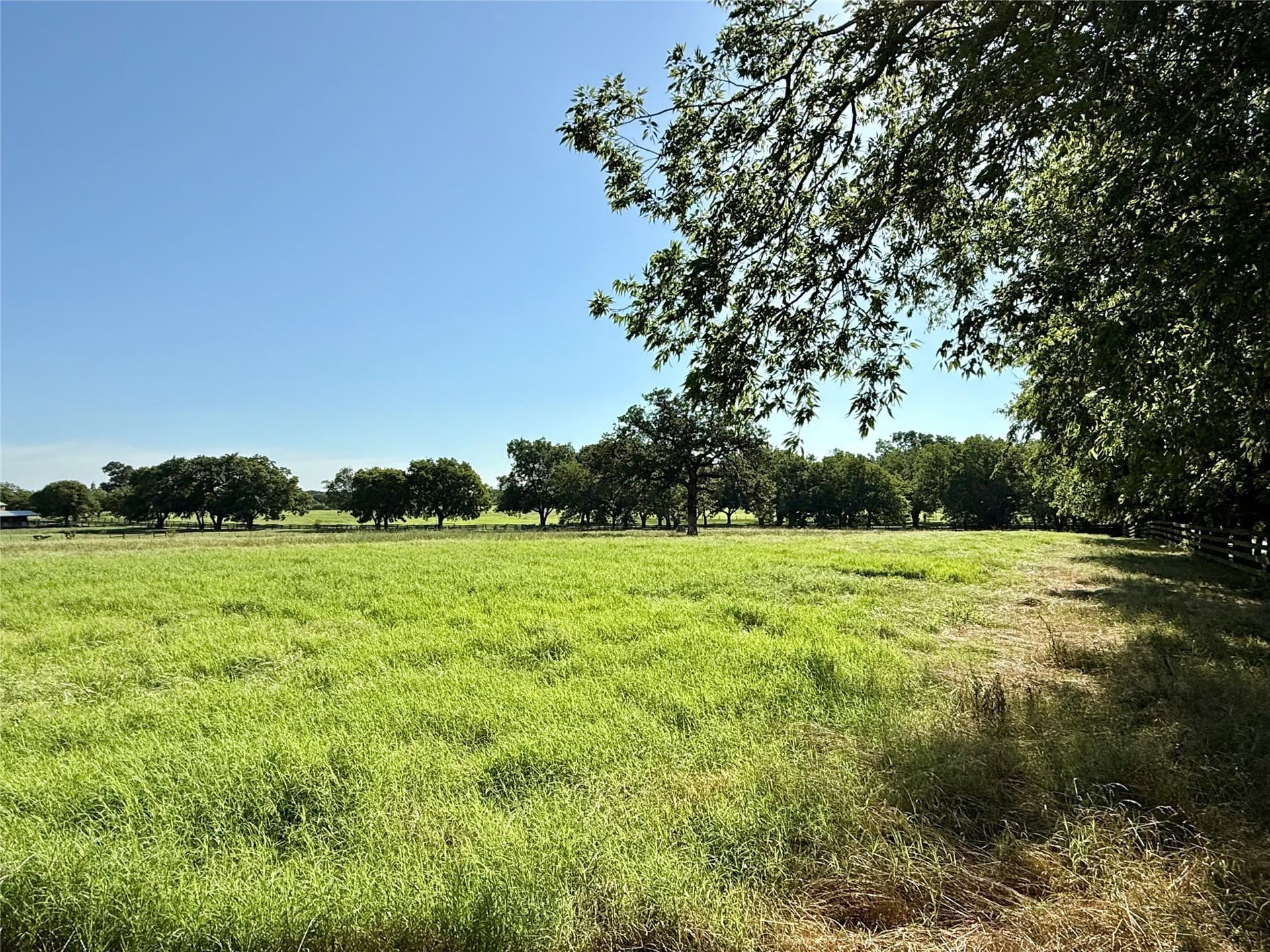 6 acres in Denton County - photo 7