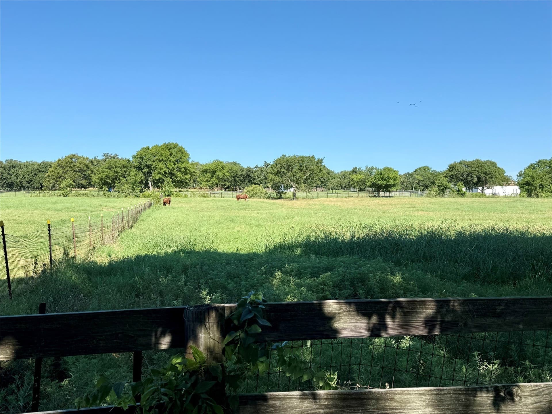 6 acres in Denton County gallery image 4
