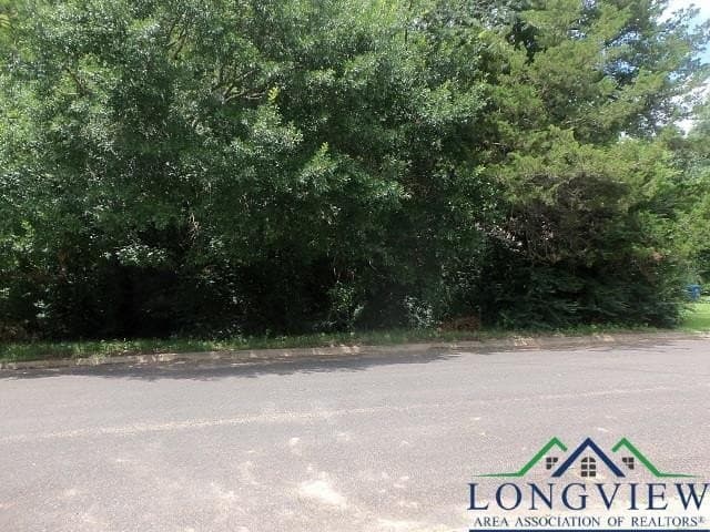 0.36 acres in Texas County gallery image 4