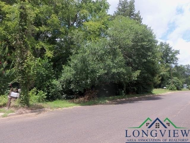 0.36 acres in Texas County featured view