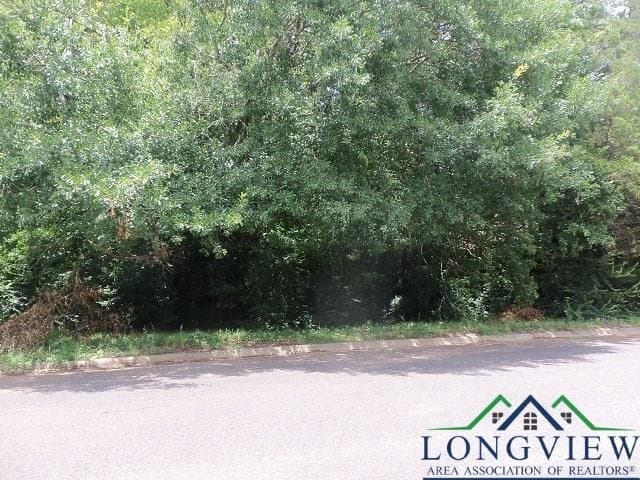 0.36 acres in Texas County gallery image 2