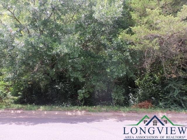 0.36 acres in Texas County gallery image 3