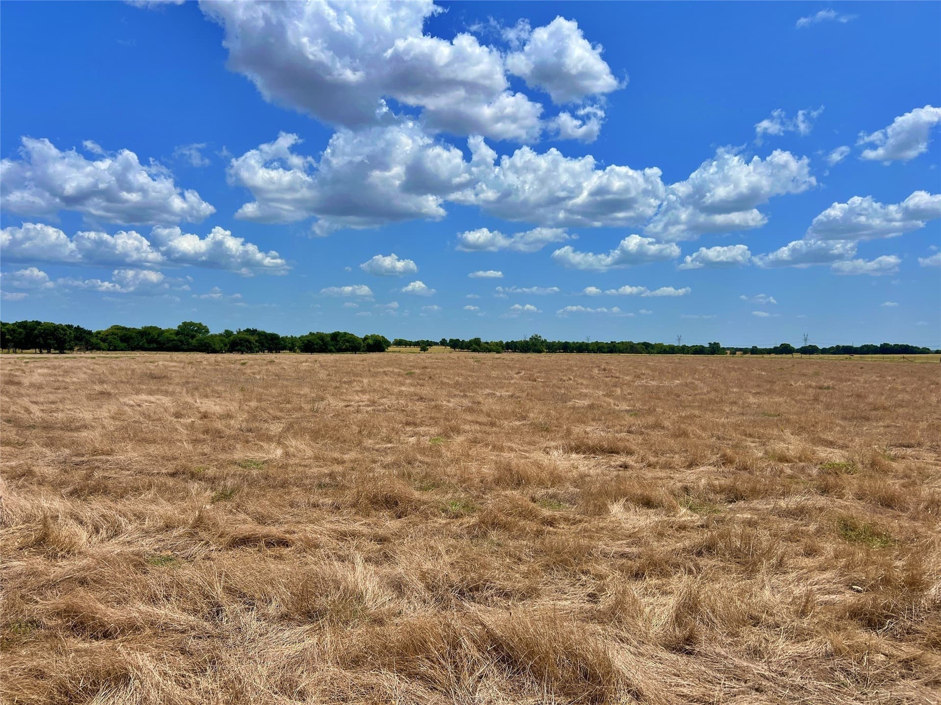 25 acres in Cooke County - photo 4