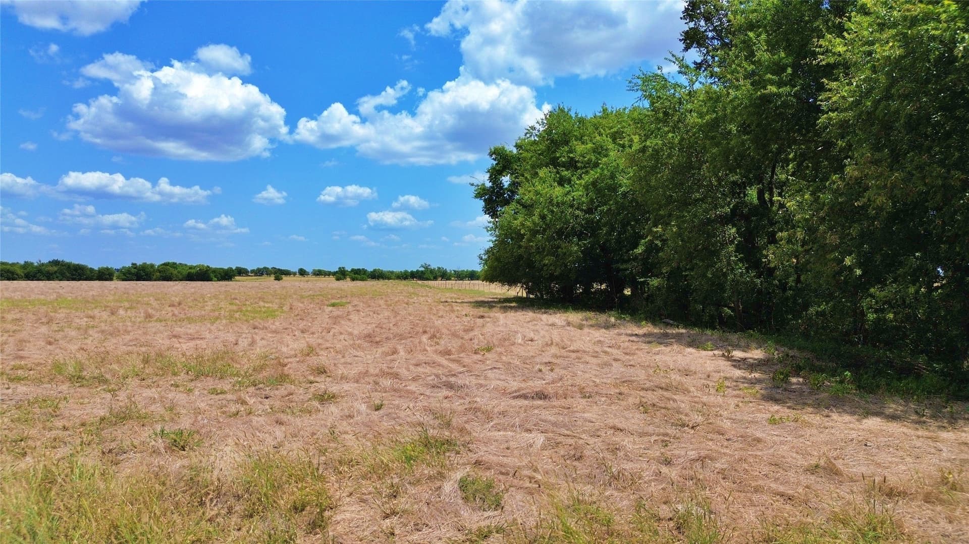 25 acres in Cooke County - photo 9