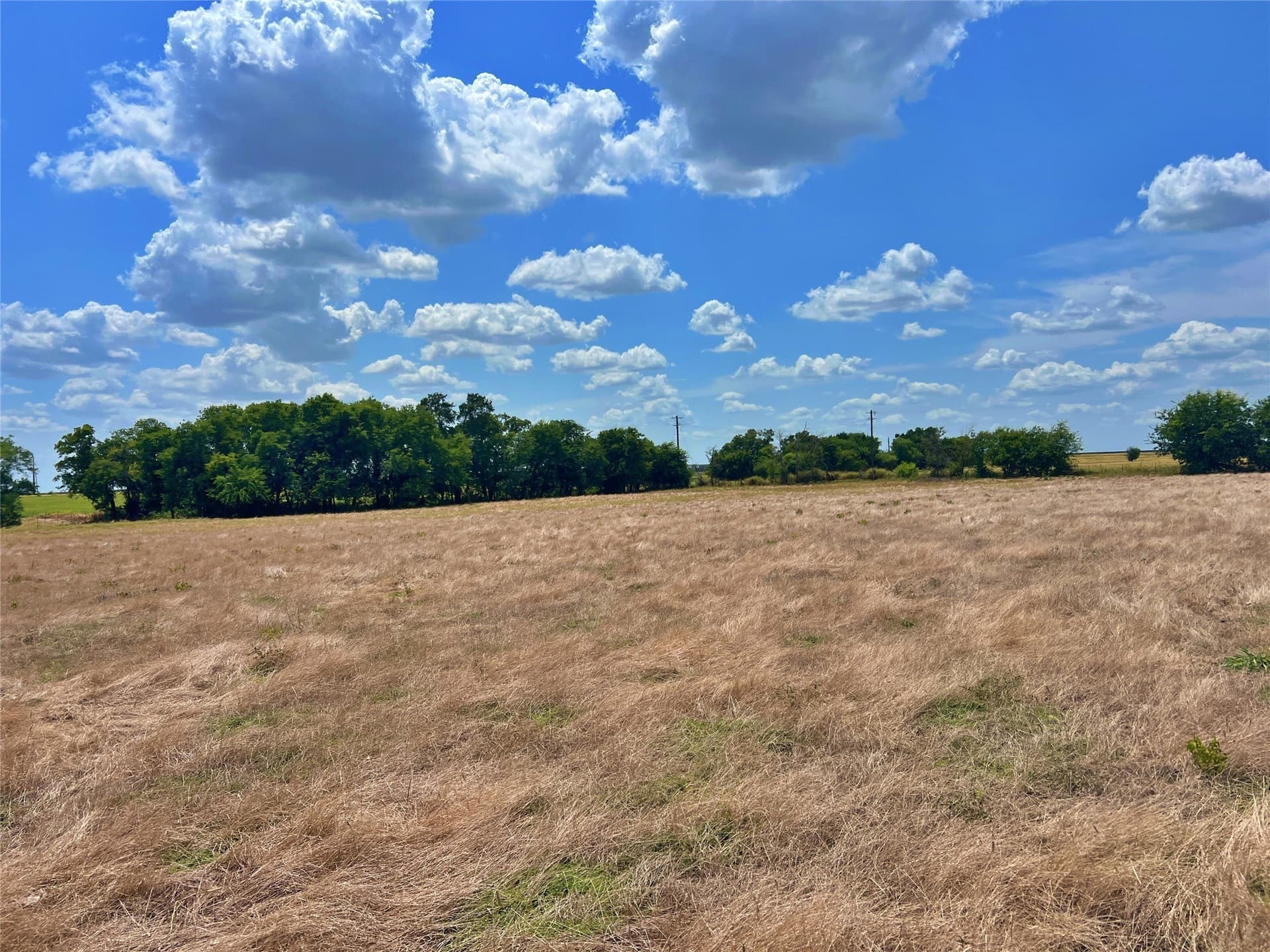 25 acres in Cooke County - photo 5