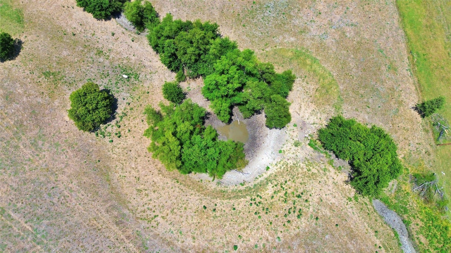 25 acres in Cooke County - photo 3