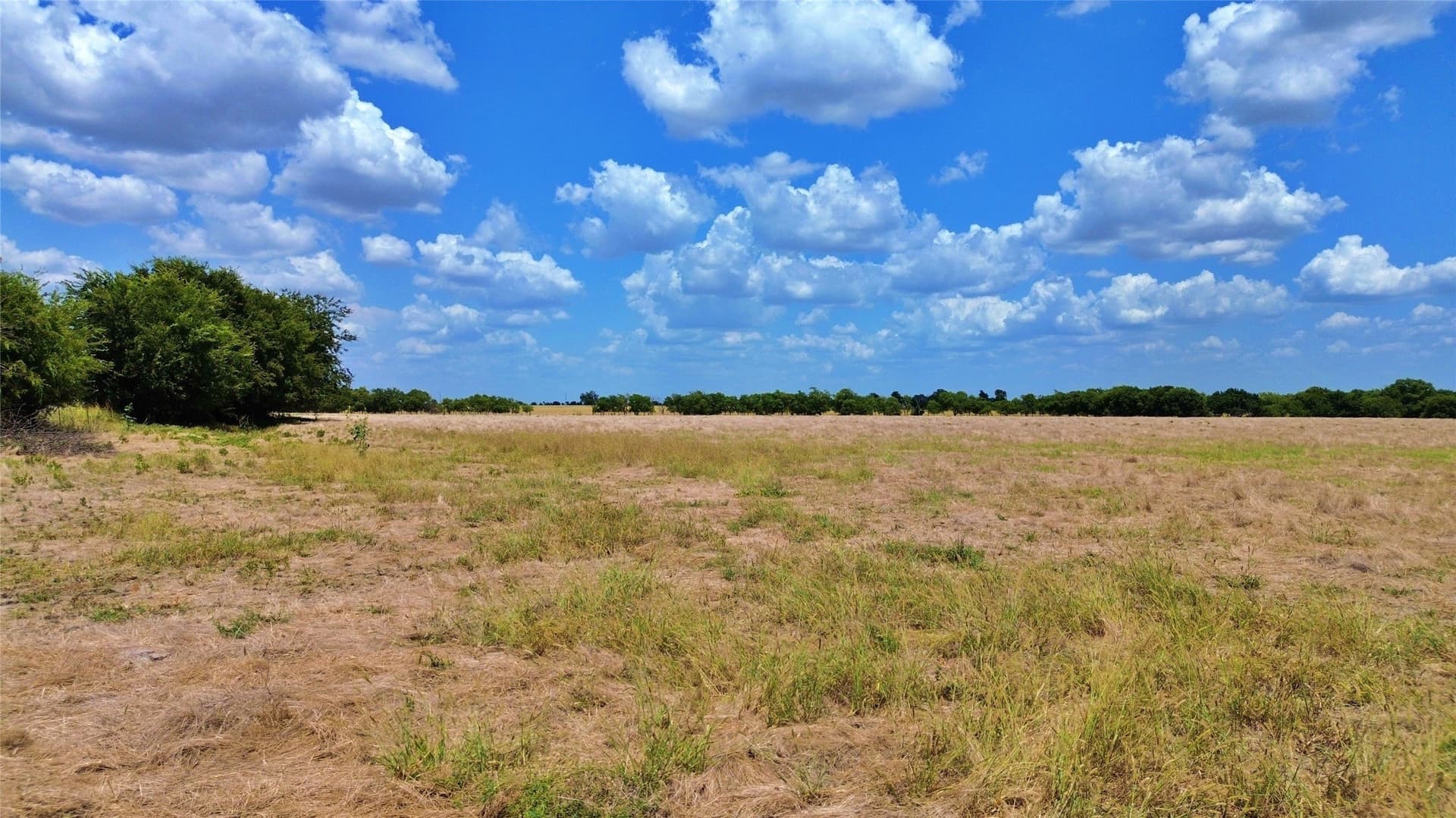25 acres in Cooke County - photo 7
