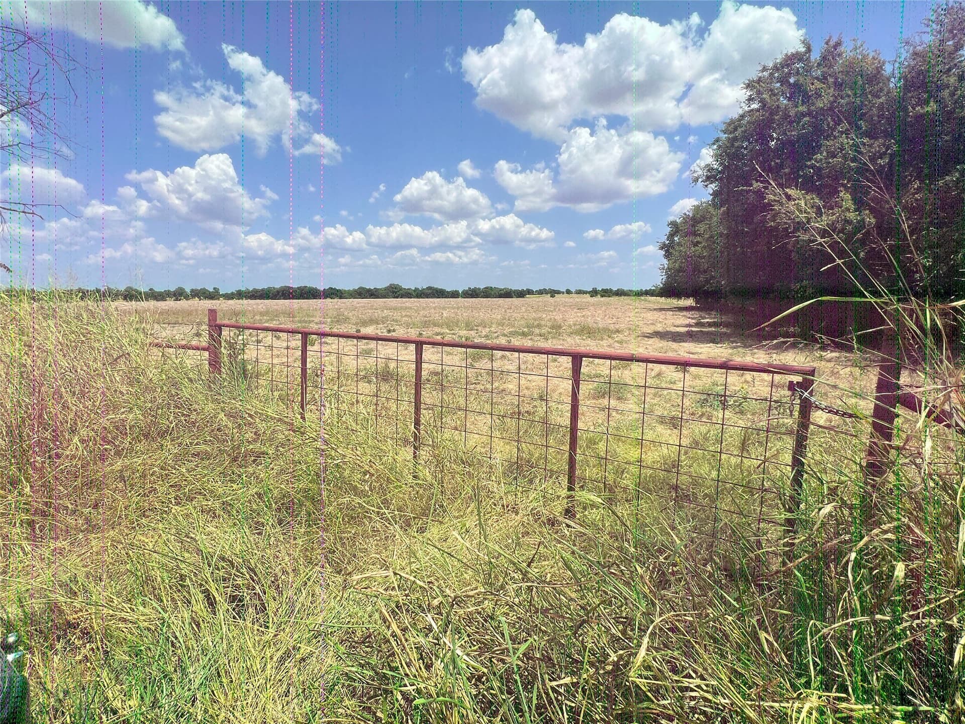 25 acres in Cooke County - photo 6