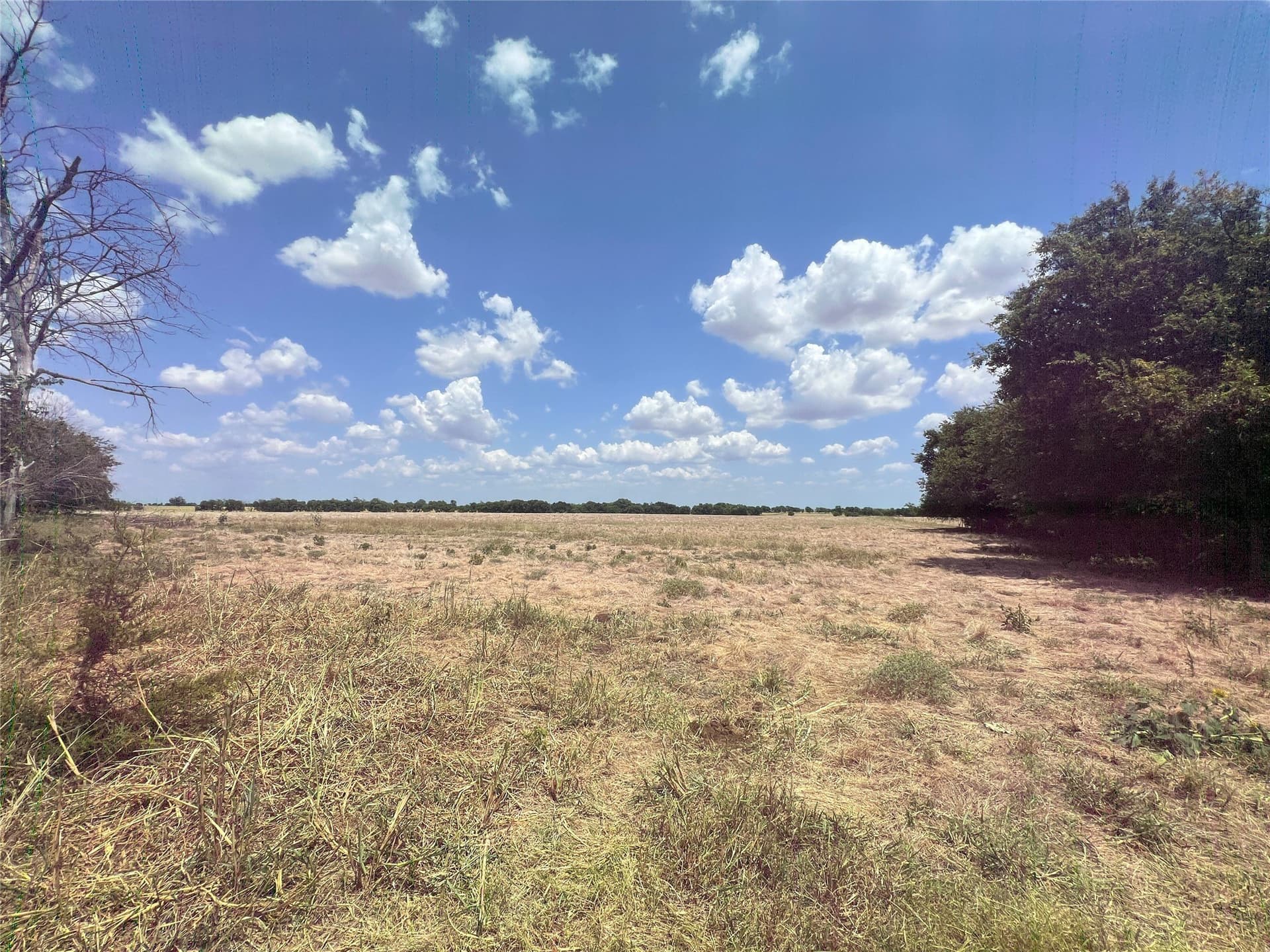 25 acres in Cooke County - photo 8