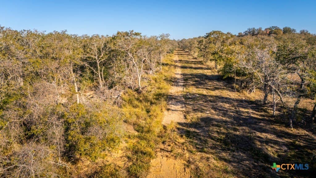 42.59 acres in Gonzales County - photo 6