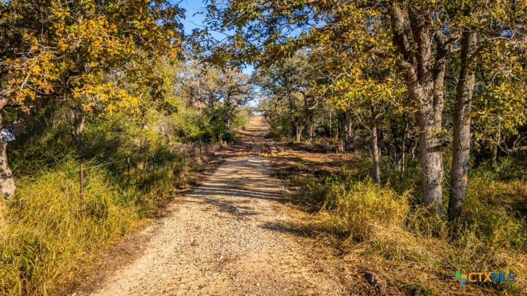 42.59 acres in Gonzales County gallery image 4