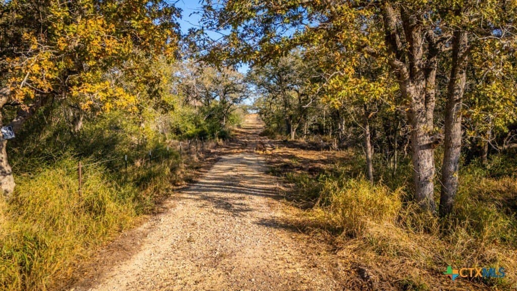 42.59 acres in Gonzales County featured view