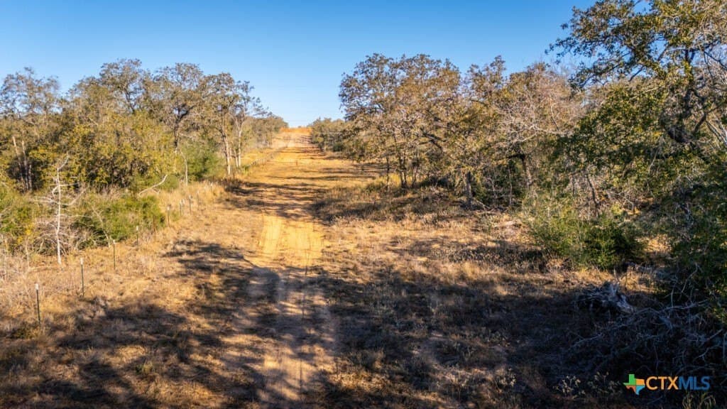 42.59 acres in Gonzales County - photo 25