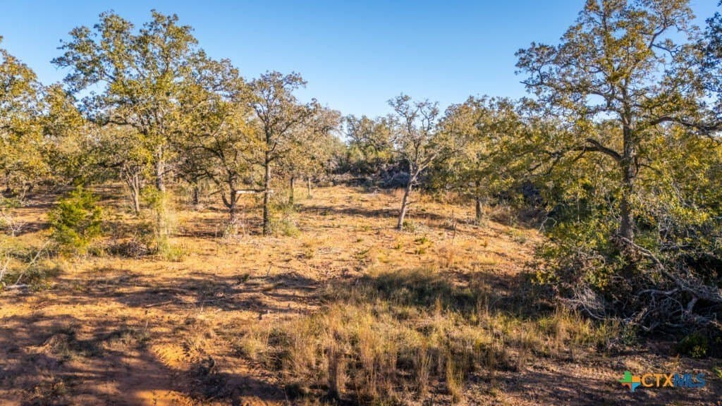 42.59 acres in Gonzales County - photo 12