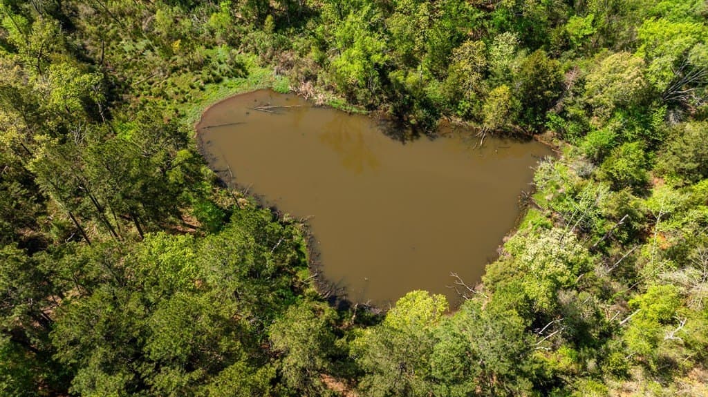 39.79 acres in ANDERSON County - photo 40