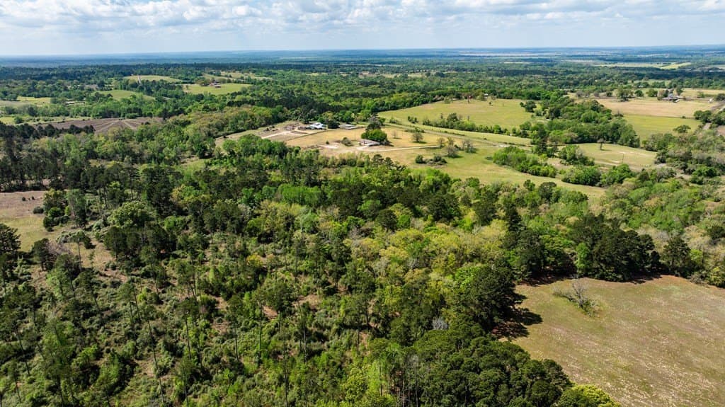 39.79 acres in ANDERSON County - photo 43